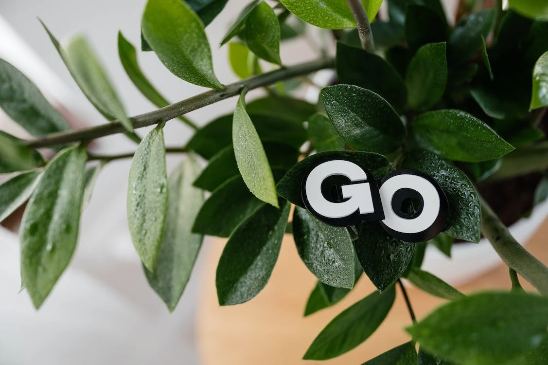 Optimizing Microservices with Go: Key Advantages and Real-World Application Examples