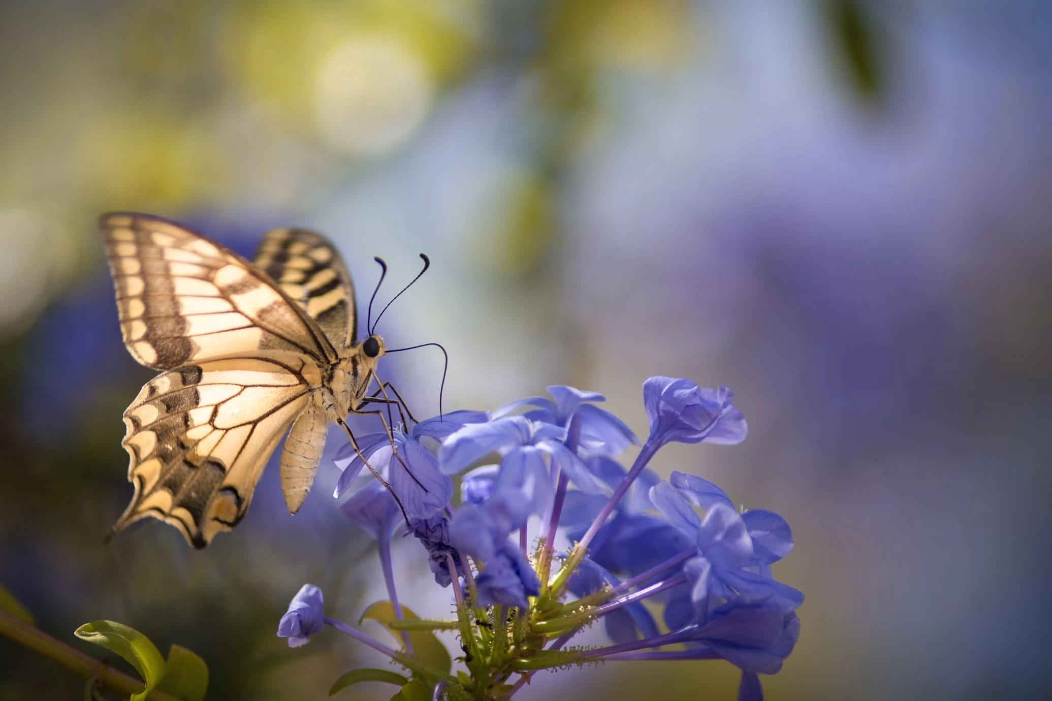 Biomimicry in IT for Revolutionary Innovations