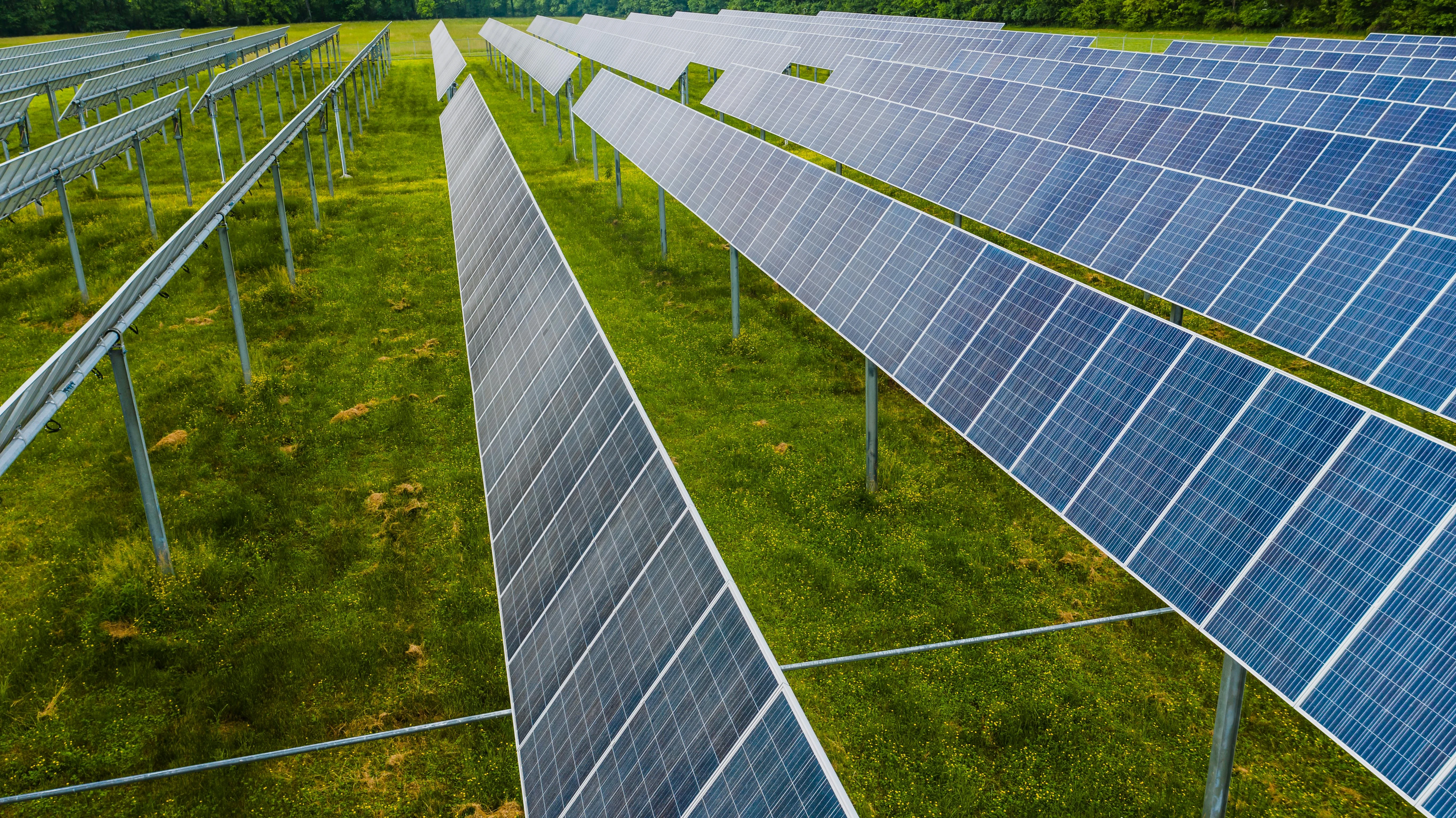 Renewable Energy Revolution