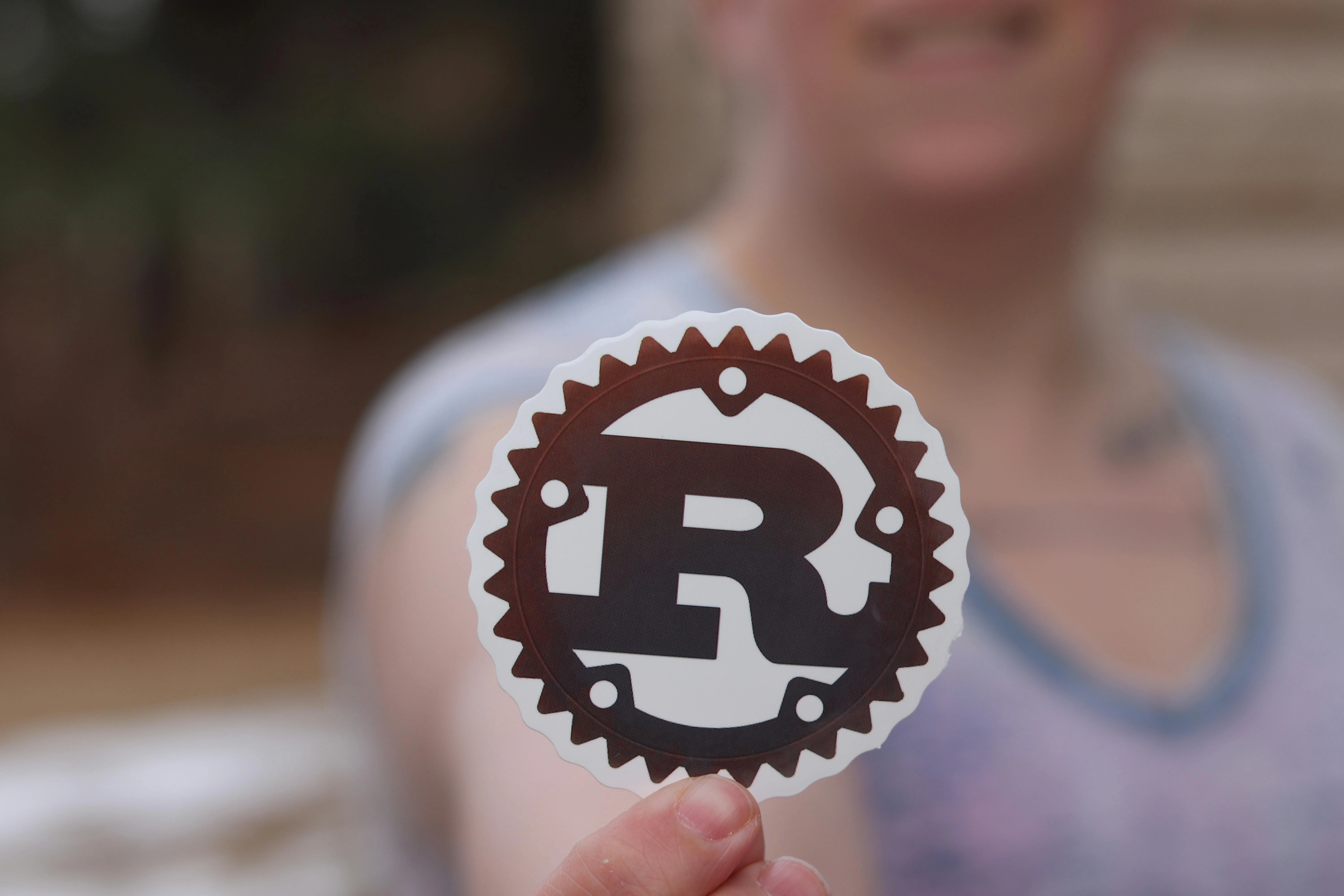 Rust in Detail